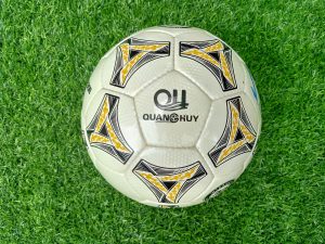 Quả bóng đá Quang Huy Passion PS 2019 size 5